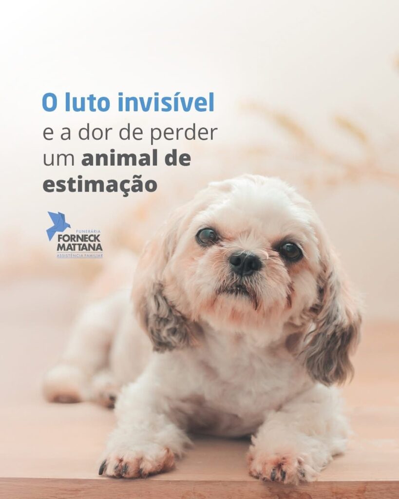 A imagem atual não possui texto alternativo. O nome do arquivo é: WhatsApp-Image-2026-02-03-at-15.57.44-3.jpeg